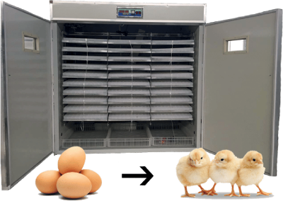 hatching incubator