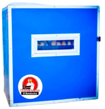 576 Egg Capacity Automatic AC Incubator