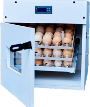 108 Egg Manual DC Incubator